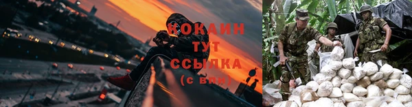 а пвп мука Бородино