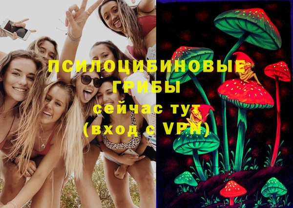 а пвп мука Бородино