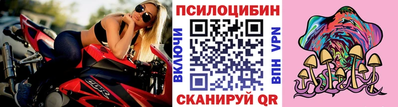 Купить закладки  Георгиевск  Галлюциногенные грибы Psilocybine cubensis 